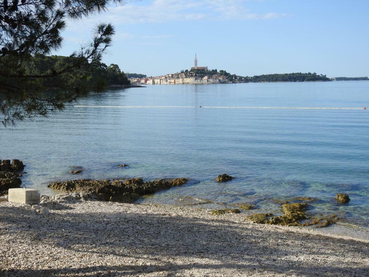 Luxury Apartments Magali 1 Rovinj Dış mekan fotoğraf